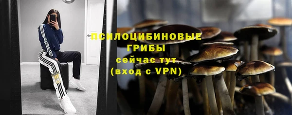 марихуана Абаза