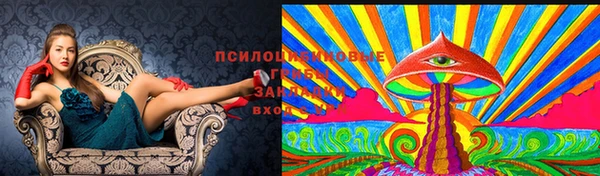 марихуана Абаза